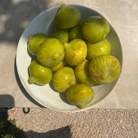 Willa Mediterranean With Heated Pool *